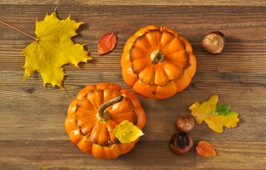 two stuffed pumpkin