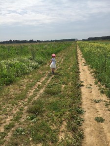 my inspiration, running through strawberry fields.